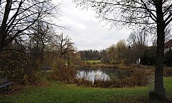 SuRo_Stadtpark